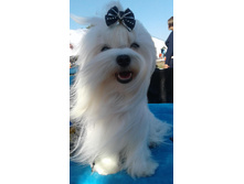 42044819 307216820063135 1800912192741048320 n.jpg