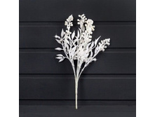 ����� � ������� �� ����� � �̣������