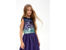 10210200024   Sousa   ����������(������).jpg