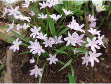 ���������� �����