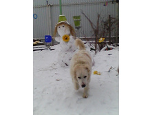 IMG 20180110 124538.jpg