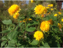 ��������� ��������