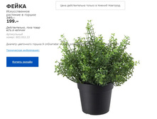 ����� ������������ �������� � ������ 80395333.jpg