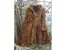 ���� ��������