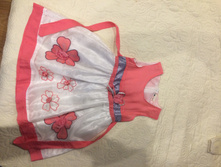 ������ 6 ���