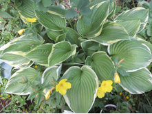 ��������������.