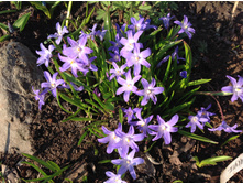 ���������� ��� �����