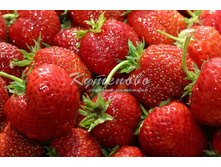 �������� ��������� II  �2   143�