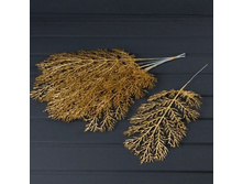 ����� ��� ��