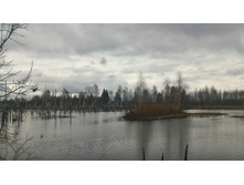 P 20181110 123400 HDR-01.jpeg