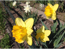 ������� �����