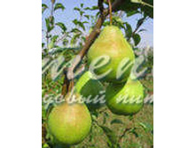 ����� "������������ ����" �4 500, �7 560�