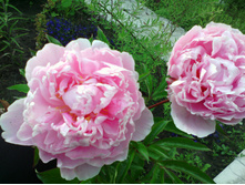 IMG 20170707 172601.jpg