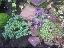 IMG 20140724 110138.jpg