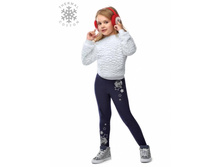 ������� ������� DISCO.