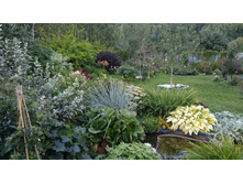 IMG 20180825 130142.jpg