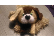 P 20181122 223725.jpg