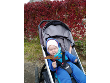 IMG 20181010 140342.jpg