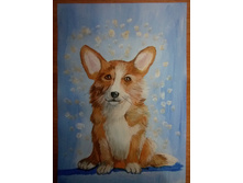 ����� ����� (�����)