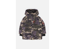 10110130018 �������.jpg