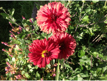 ���������� �������