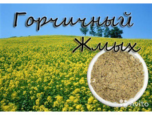 ���� ���������