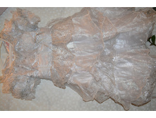 584ec3b75e7a8 dsc1170.jpg