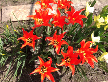 �������� ����� ���������