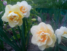 IMG 20160508 190300.jpg