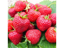 ��������� (�������������) ����� ������� �2 143�