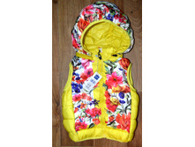 ����� ������ ���