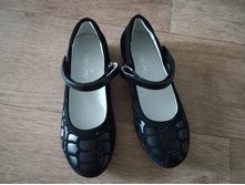 ����� �.31