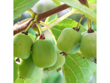 ��������� ������� 268�