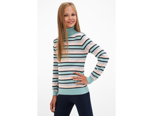 20210320031   Salmon   �������.jpg