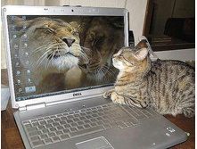 ����� � �������. ����� - �� ���������!