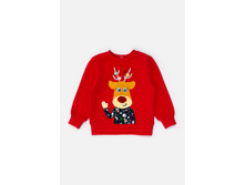 20250100020   Bukle   �������(���).jpg