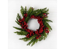 ����� ����.� ������� 50��