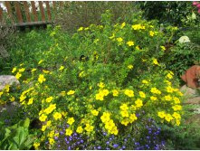 586eb31c47c1b img4423.jpg