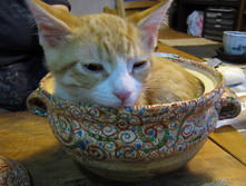 247293 216796668344330 2766949 n.jpg