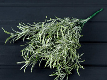 ����� ���������*6 ��������.