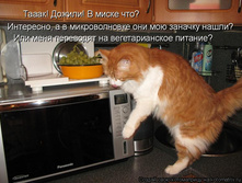 ��������� ������������ �������������