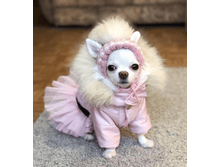 IMG 20181126 093501.png