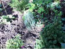 IMG 20170917 091931.jpg