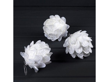 ������� ������� � ���������