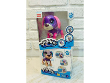 ����� ������������� �����, ����, �������������, ������ ���������, �������, ������������� ������