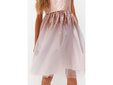 20210200287   Olivia   ������-����������(������).jpg