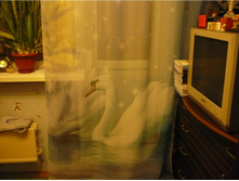 5bdeadfdb53ab p1070173.JPG