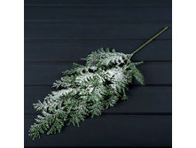 ����� ����������� ��������.