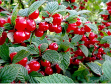 ����� ��������� ���� ������ � ������� 270�