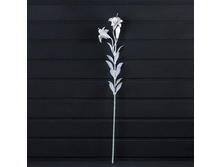 ����������� ����� �� ����� � �̣�����